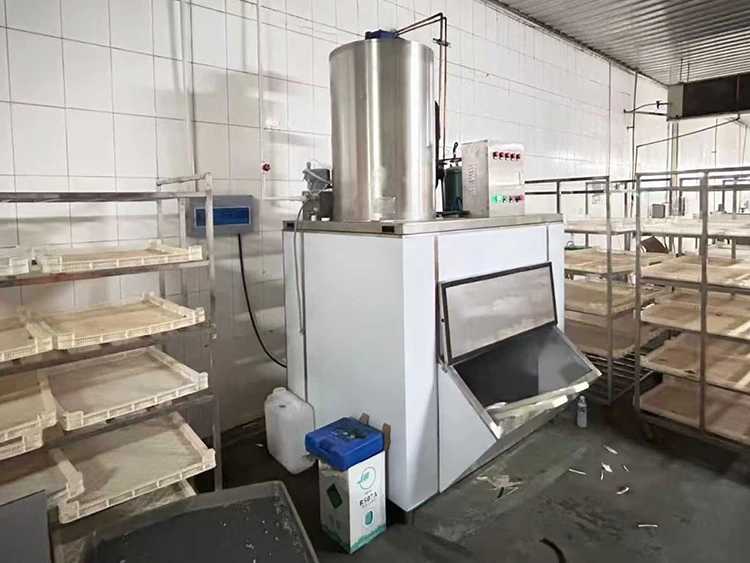 Schilferijsmachine